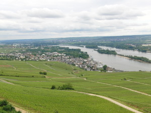 Blick auf Rüdesheim