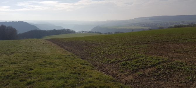 Der Rheinsteig von Kestert nach St. Goarshausen – auf den Spuren der Natur und des  ehem. Bergbaus