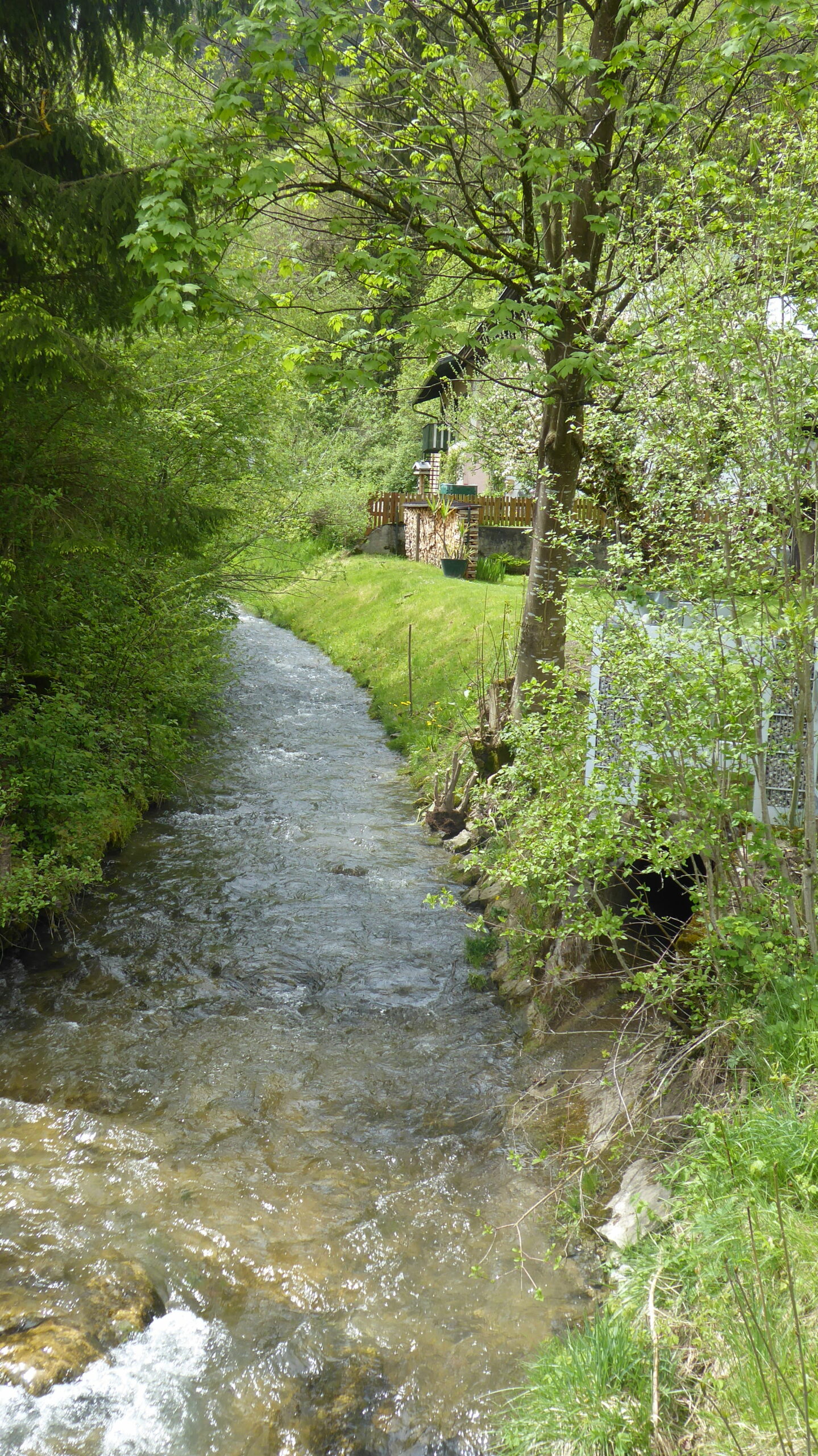 In Kirchdorf, um Kirchdorf und um Kirchdorf herumund alles in Tirol