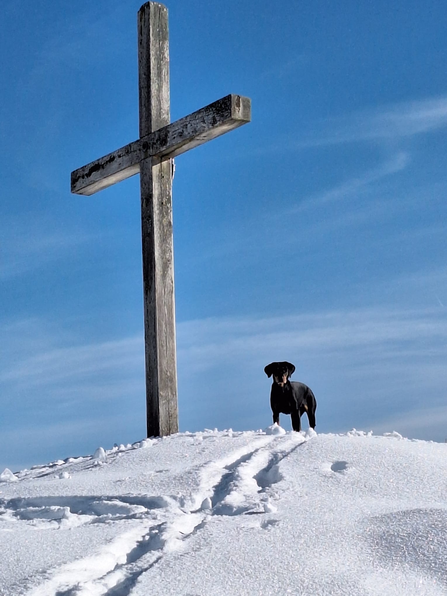 Ski- und Schneeschuhwanderungen oberhalb von Kirchdorf in Tirol.